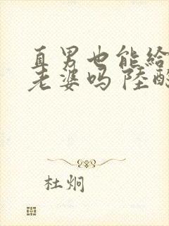 直男也能给人当老婆吗 陆酌言 小说