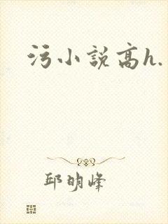 污小说高h.