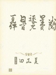 夏日逐星小说无弹窗免费阅读全文