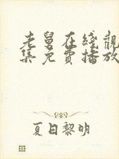 老舅在线观看全集免费播放