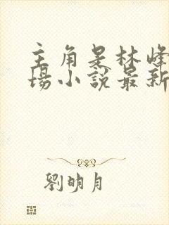 主角是林峰的官场小说最新章节更新内容封面