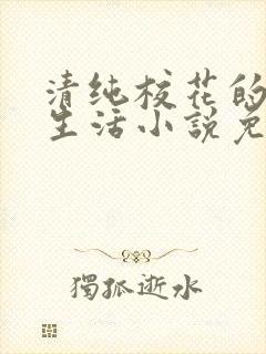 清纯校花的日常生活小说免费阅读沈