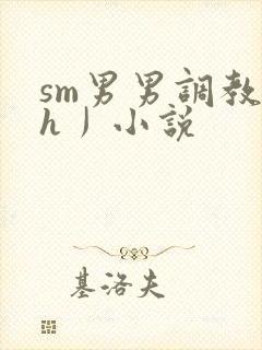 sm男男调教〈h丿小说