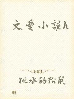 文爱小说h