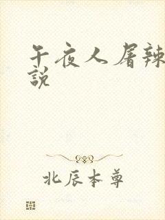 午夜人屠辣文小说