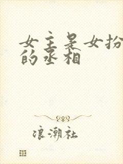 女主是女扮男装的丞相封面