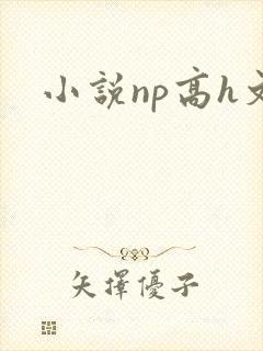 小说np高h文封面