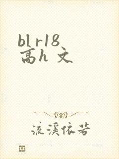 bl r18 高h 文