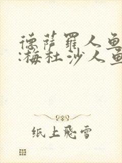 德萨罗人鱼ii:梅杜沙人鱼封面