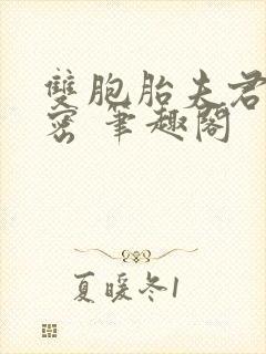 双胞胎夫君的秘密 笔趣阁