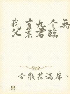 我有九个无敌师父叶君临封面