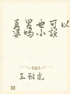 直男也可以当老婆吗小说