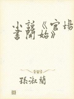 小说《官场从秘书开始》