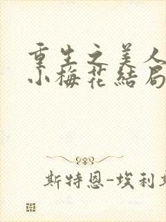 重生之美人是君小梅花结局封面