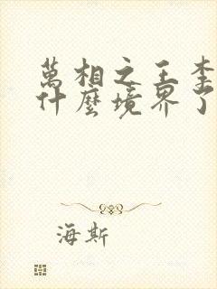 万相之王李洛到什么境界了封面