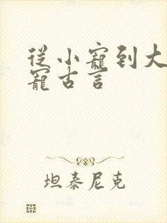 从小宠到大的甜宠古言