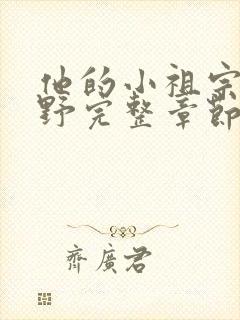 他的小祖宗甜又野完整章节下载