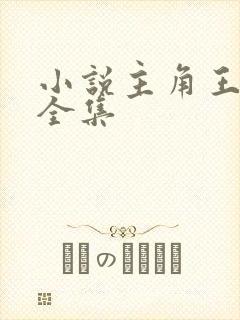 小说主角王一凡全集