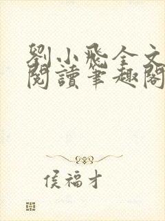 刘小飞全文免费阅读笔趣阁封面