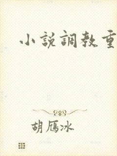 小说调教重口