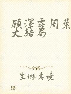 顾泽霆周叶番外大结局封面