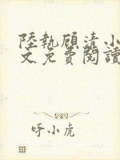 陆执顾清小说全文免费阅读