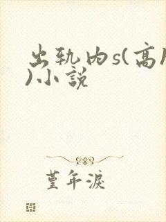 出轨内s(高h)小说