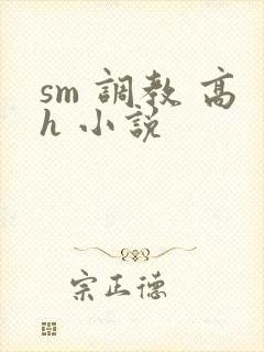 sm 调教 高h 小说封面