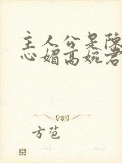 主人公是陈斌赵心媚高婉君小说