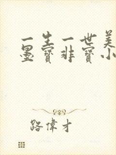 一生一世美人骨墨宝非宝小说全文免费