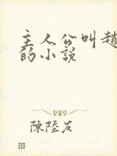 主人公叫赵凤声的小说