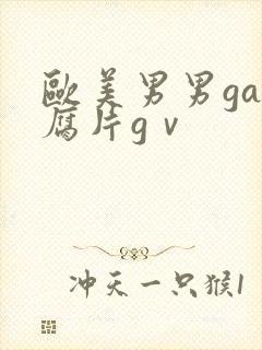 欧美男男gay腐片gⅴ