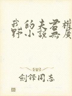 我的夫君权倾朝野小说无广告封面