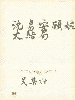 沈易安顾婉后续大结局