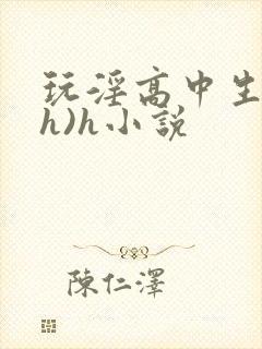 玩淫高中生(高h)h小说