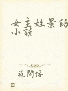 女主姓景的现代小说封面