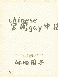 chinese男同gay中国帅哥 12封面