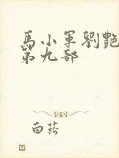 马小军刘艳小说第九部封面