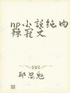 np小说纯肉高辣宠文