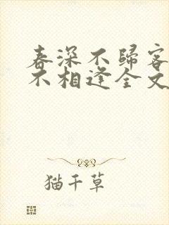 春深不归客清梦不相逢全文免费阅读