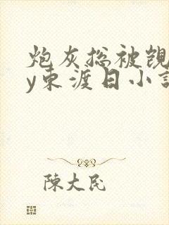炮灰总被觊觎by东渡日小说免费阅读