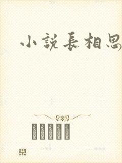 小说长相思原著封面