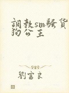 调教sm骚货母狗公主封面