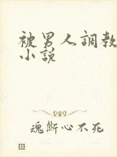 被男人调教sm小说