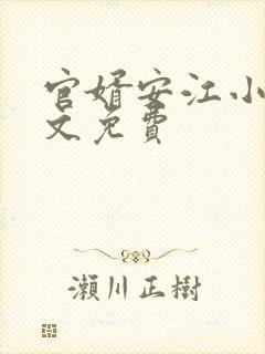 官婿安江小说全文免费