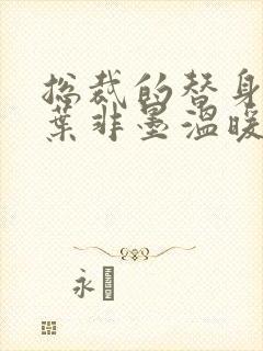 总裁的替身前妻叶非墨温暖在出租车章节
