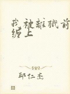 我被离职前上司缠上