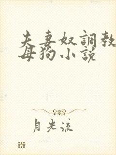 夫妻奴调教绿帽母狗小说