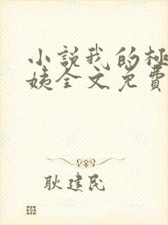 小说我的极品小姨全文免费阅读