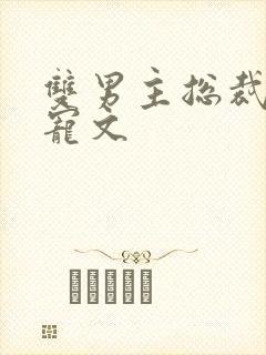 双男主总裁文甜宠文